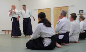 Aikido - Vorführung einer Technik